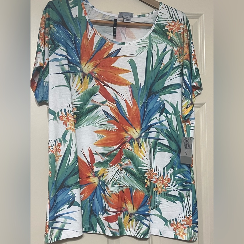 Catherine’s 1X NWT multi color knit top